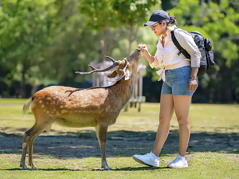年間行事／9月イメージ