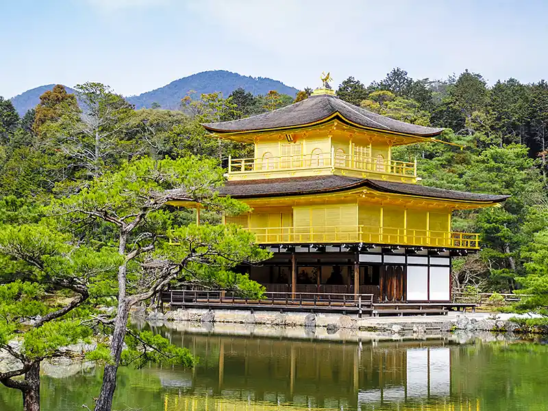 周辺紹介／金閣寺